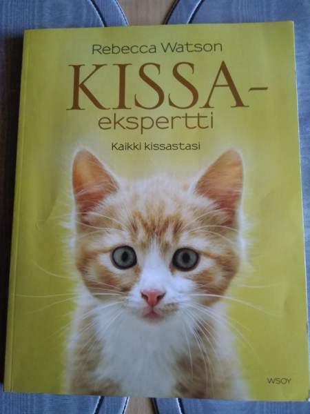 Kissa kirjoja 1 Kajaani - valokuva 7