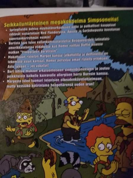 Simpsonien sarjakuva-kirjat 2 Kajaani - valokuva 2