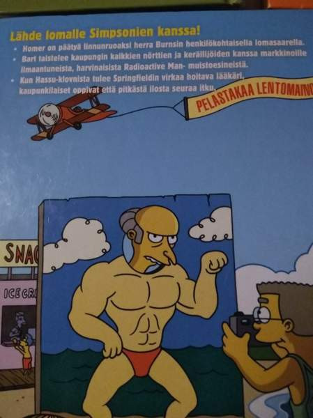 Simpsonien sarjakuva-kirjat 2 Kajaani - valokuva 6
