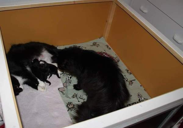 Pentulaatikko n. 90 x 90 cm Nokia – foto 1