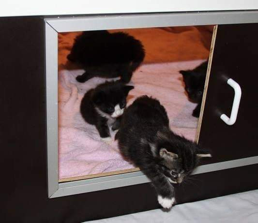 Pentulaatikko n. 90 x 90 cm Nokia – foto 2