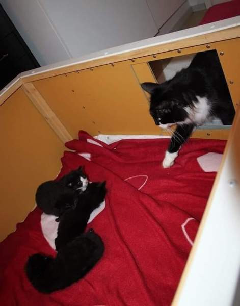 Pentulaatikko n. 90 x 90 cm Nokia – foto 3