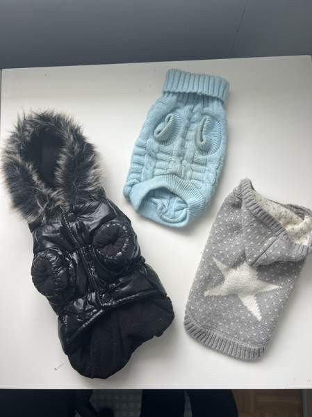 Chihuahua talvitakki +neuleet Espoo – foto 1