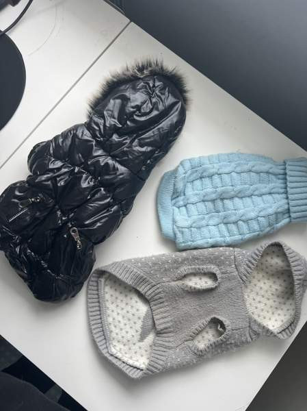 Chihuahua talvitakki +neuleet Espoo – foto 2