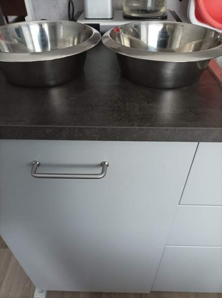 Koiran tarvikkeet Savonlinna - photo 2