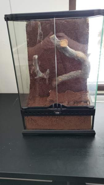 Terraario Kouvola - valokuva 1