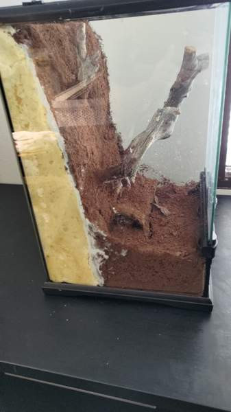 Terraario Kouvola - valokuva 3