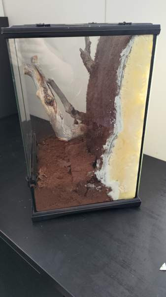 Terraario Kouvola - valokuva 2