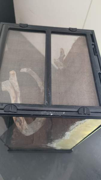 Terraario Kouvola - valokuva 5