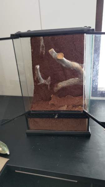 Terraario Kouvola - valokuva 4