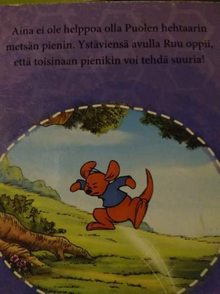 Lasten paksusivuiset kirjat 68 Kajaani - valokuva 5