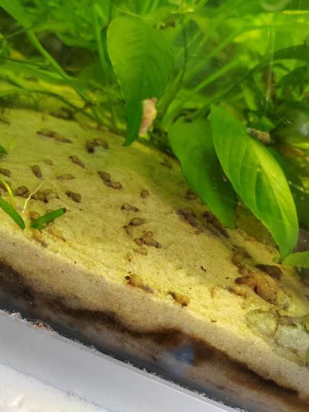 Kierteisiä Kangasala - valokuva 2