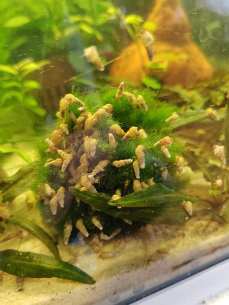 Kierteisiä Kangasala - valokuva 1