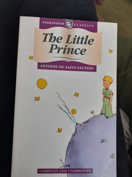 Antoine De Saint-Exupéry: The Little Prince Сейняйоки - изображение 1