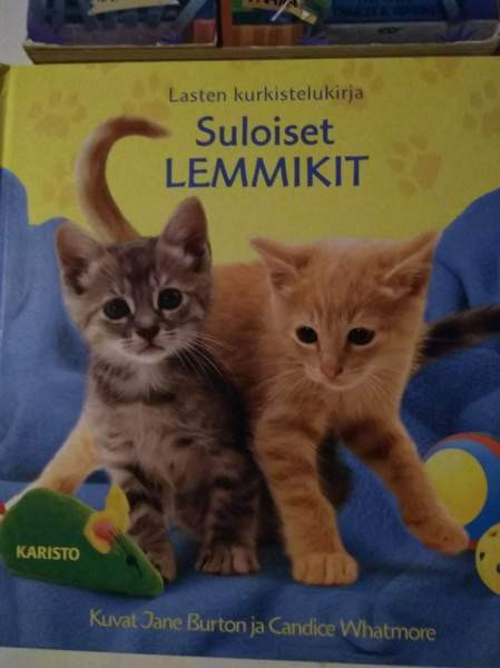 Lasten paksusivuiset kirjat 67 Kajaani – foto 3