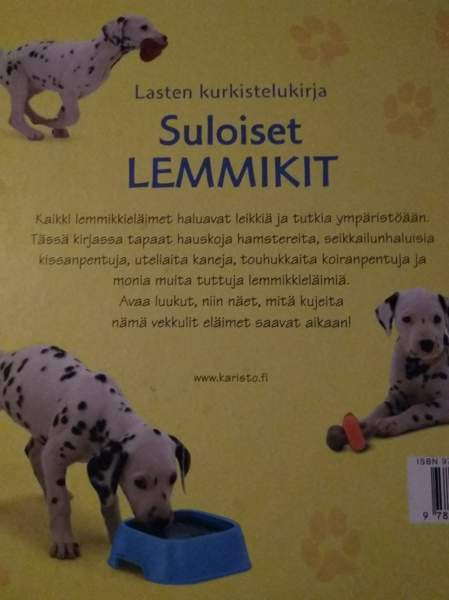 Lasten paksusivuiset kirjat 67 Kajaani – foto 6