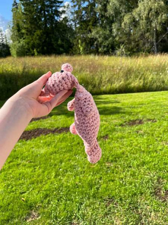 Virkattu koiran/lasten lelu Lempaeaelae – foto 3