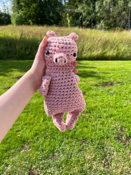 Virkattu koiran/lasten lelu Lempaeaelae - photo 1