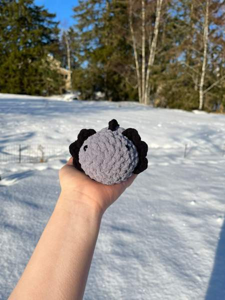 Virkatut axolotlit Лемпяаля - изображение 6