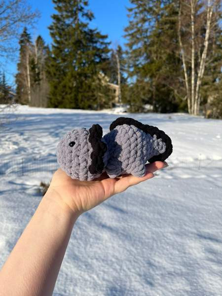 Virkatut axolotlit Лемпяаля - изображение 7