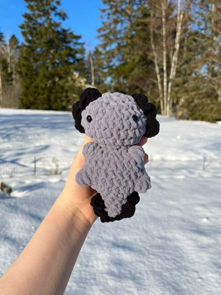 Virkatut axolotlit Лемпяаля - изображение 1