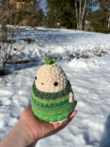 Virkattu peruna Lempäälä - valokuva 3