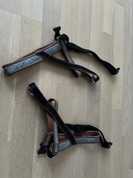 Koiranvaljaat Йоэнсуу - изображение 1