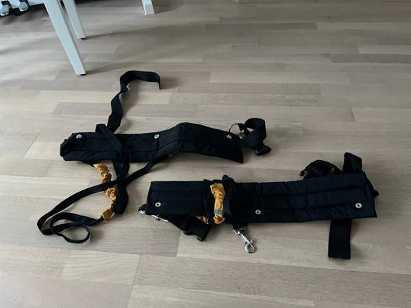 Koiran valjaat Kontiolahti - photo 1