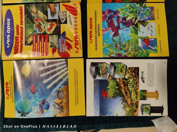 Akvaario kirjat Helsinki - valokuva 2