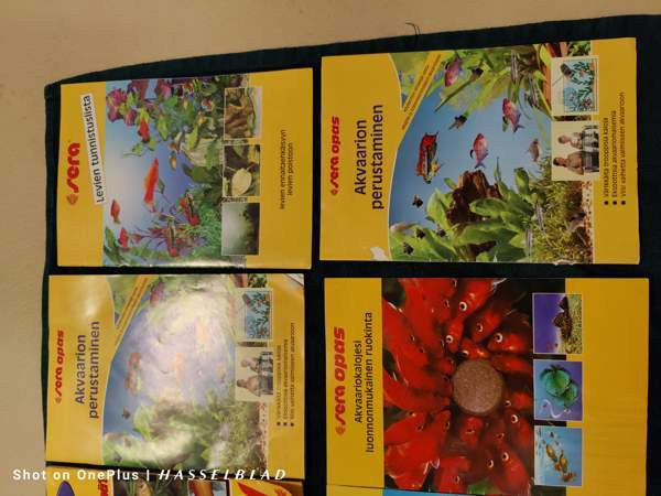 Akvaario kirjat Helsinki - valokuva 1