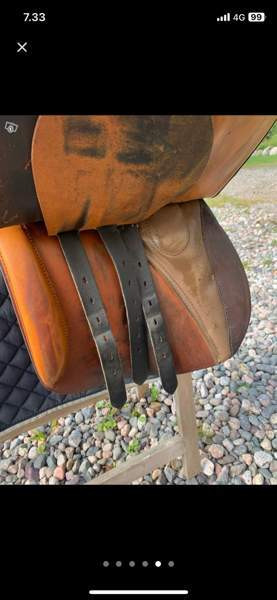 Stübben yleis-/ estesatula Lahti – foto 5