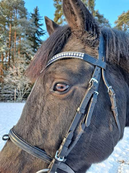 Uusi otsapanta Турку - изображение 2