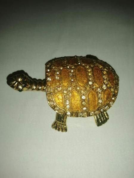 Koriste kilpikonna Sastamala - photo 1