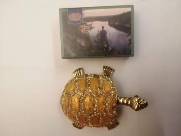 Koriste kilpikonna Sastamala - photo 5