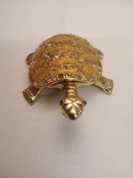 Koriste kilpikonna Sastamala - photo 3