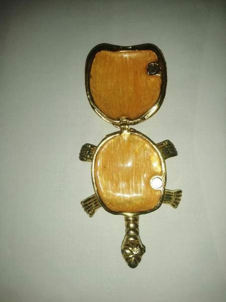 Koriste kilpikonna Sastamala - photo 2