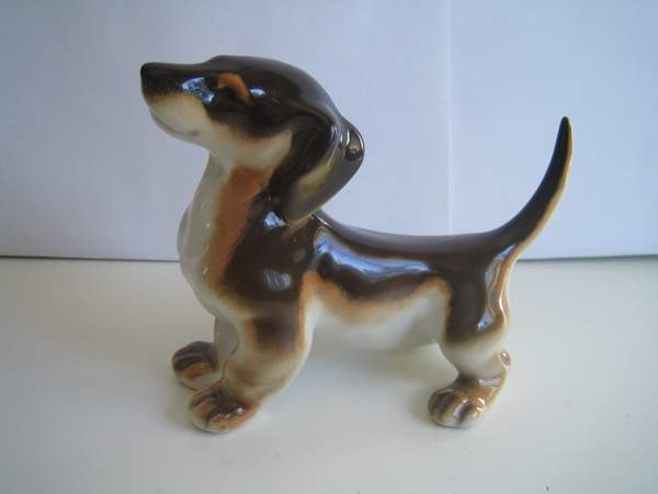 Lomonosov Mäyräkoira Keminmaa – foto 1