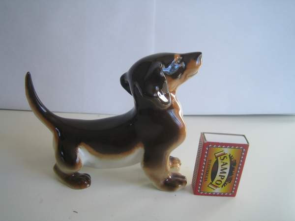 Lomonosov Mäyräkoira Keminmaa – foto 2