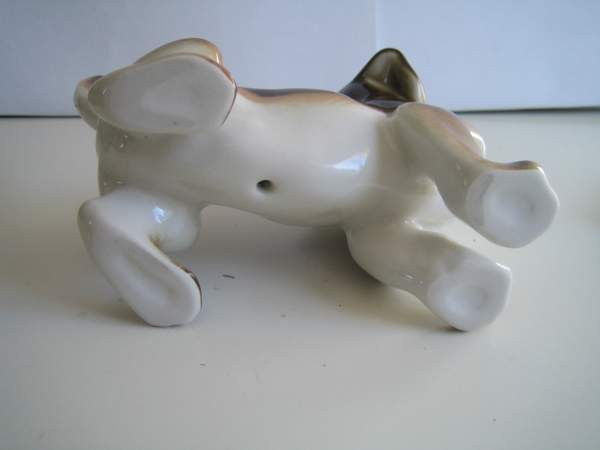 Lomonosov Mäyräkoira Keminmaa – foto 3