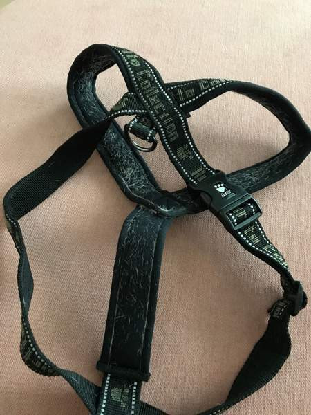Koiran hurtta valjaat koko 90 Kontiolahti - изображение 2