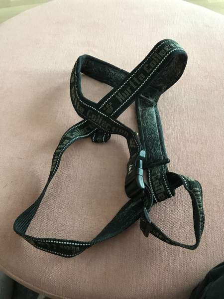 Koiran hurtta valjaat koko 90 Kontiolahti - изображение 1