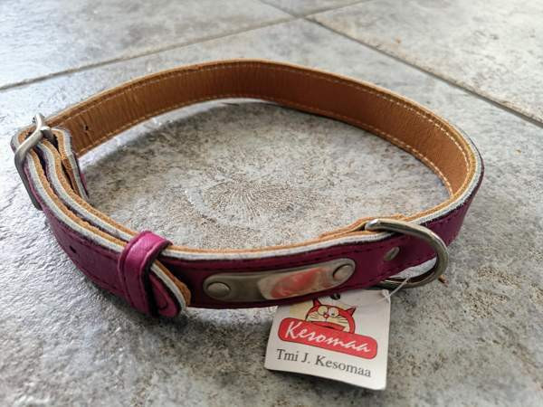 Koiran panta, kaulapanta Raasepori – foto 2