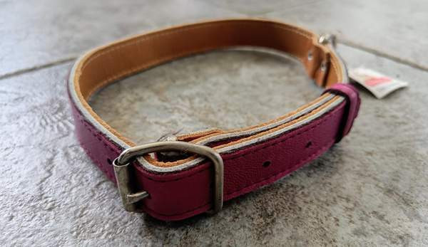 Koiran panta, kaulapanta Raasepori – foto 3