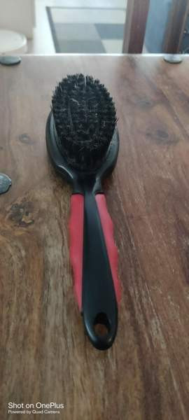 Harja lemmikille Tampere - valokuva 2