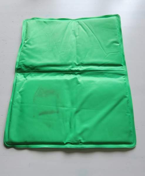 Koiralle viilennysalusta Helsinki - valokuva 2