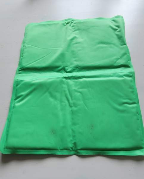 Koiralle viilennysalusta Helsinki - valokuva 1