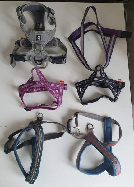 Valjaita, taluttimia yms. koirakamaa Karkkila - photo 1