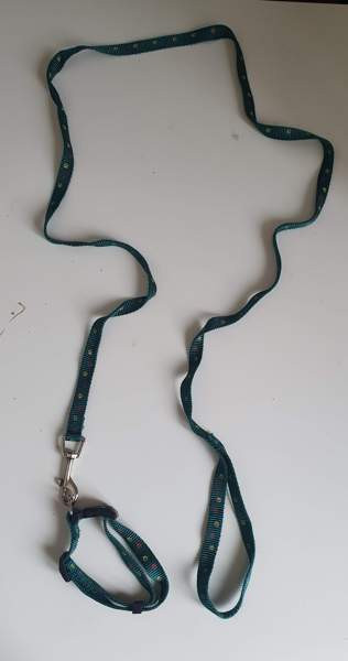 Valjaita, taluttimia yms. koirakamaa Karkkila - photo 3