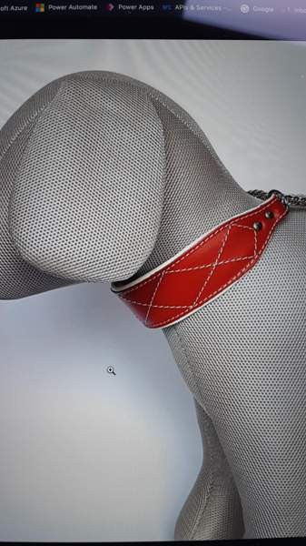 Jokke vinttikoiramallin panta Tampere - valokuva 3