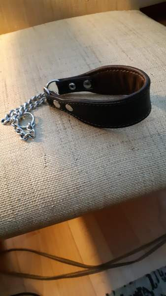 Jokke vinttikoiramallin panta Tampere - valokuva 1